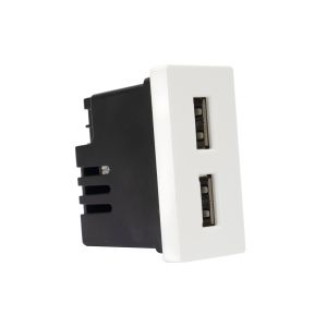 Socket with 2 PNI UB20 USB plugs, embeddable in the 1/2 glass frame