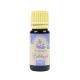 Patchouli essential oil